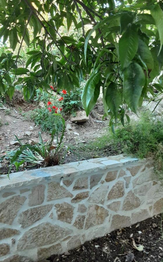 Akrotiri Bed and breakfast