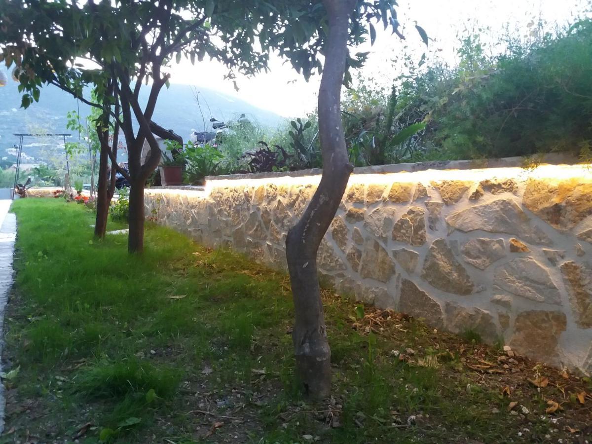 Bed and breakfast Akrotiri 2*