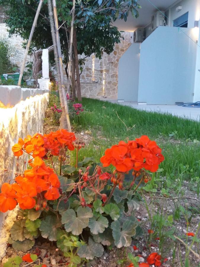 Bed and breakfast Akrotiri Vasilikí